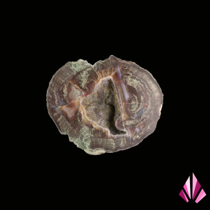 Lithophyse Esterel Var Ref484