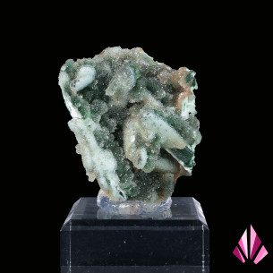 Chrysocolle (quartzite, malachite primaire) du Congo Ref487