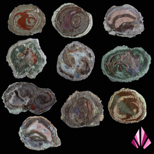 Lithophyses to choose from
