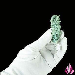 Chrysocolle de la RD Congo Ref553 2