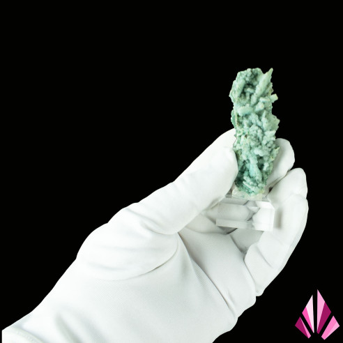 “Chrysocolla from the D.R. Congo Ref553 shown in hand”
