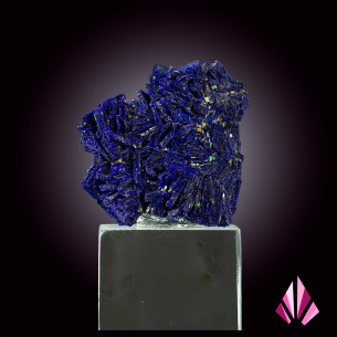 Azurite de la RD du Congo (Kolwesi): Largeur 37mm X Hauteur 37mm