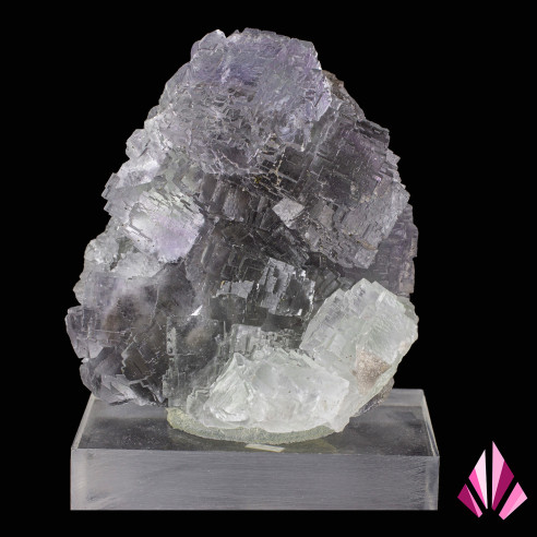 Fluorine espagnole à vendre année 2003 (ancienne collection )