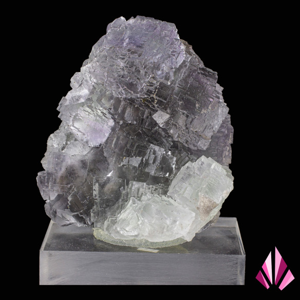Fluorine espagnole à vendre année 2003 (ancienne collection )