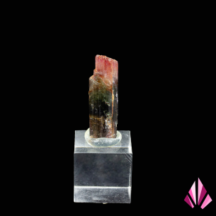 Bicolour Tourmaline on base - Brazil | Ref. 597