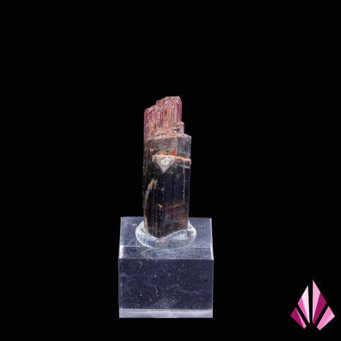 Bicolour Tourmaline on base - Minas Gerais Brazil | Ref. 597