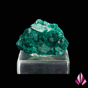 Dioptase - Katanga, DR Congo displayed on base (#601)