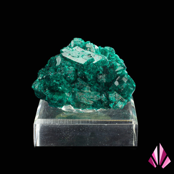 Dioptase - Katanga, RD Congo présentée sur socle (#601)