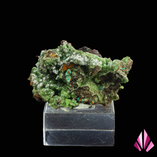 Conichalcite & Aurichalcite – DR Congo, displayed on a base (#600)