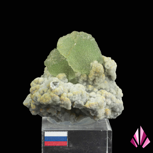Fluorine sur quartz sur socle en provenance de Dalnegorsk (Russie) (#602)