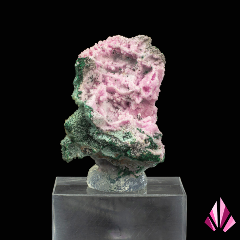 Cobaltoan calcite, Malachite and Chrysocolla displayed on base and from- RD Congo. Ref.604