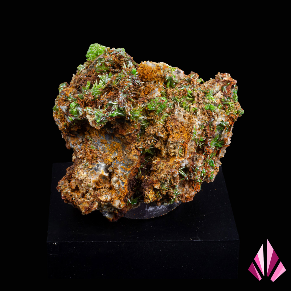 Pyromorphite from Saint-Salvy, France on a base | Ref. 608