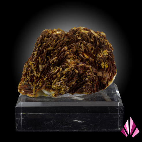 Pyromorphite sur baryte de la mine des Farges, cristallisation brun foncé à noire sur socle