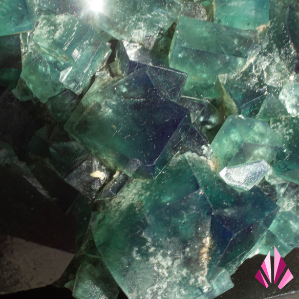 Green fluorite from Diana Maria, England, close-up of cubic crystals in natural light
