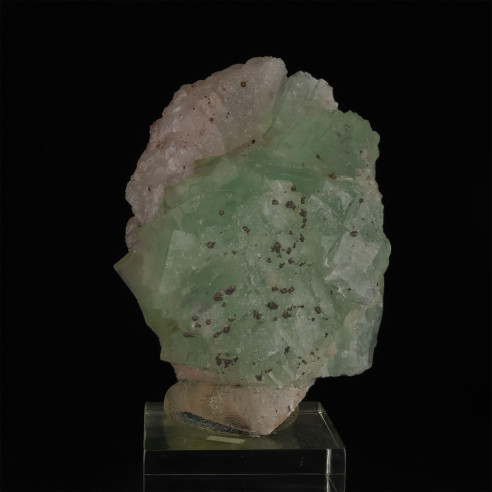 Fluorine sur quartz saupoudré de pyrite