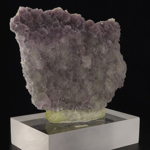 pierre: Fluorine Bulgarie année 2017