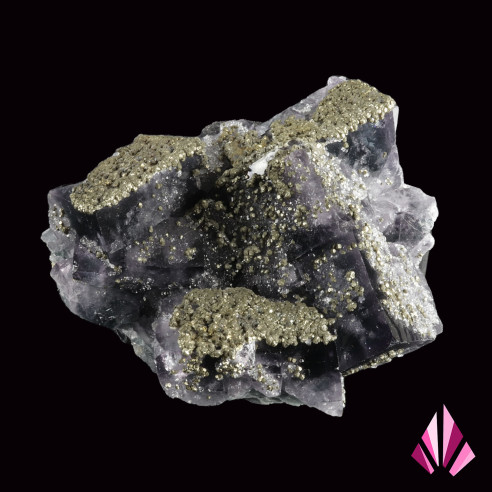 Chalcopyrite on fluorite (Jalingo- Nigéria)