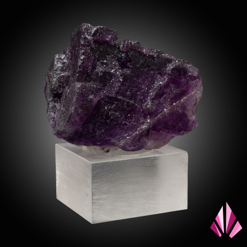 Fluorine (Ref207): couleur fuchsia foncé USA