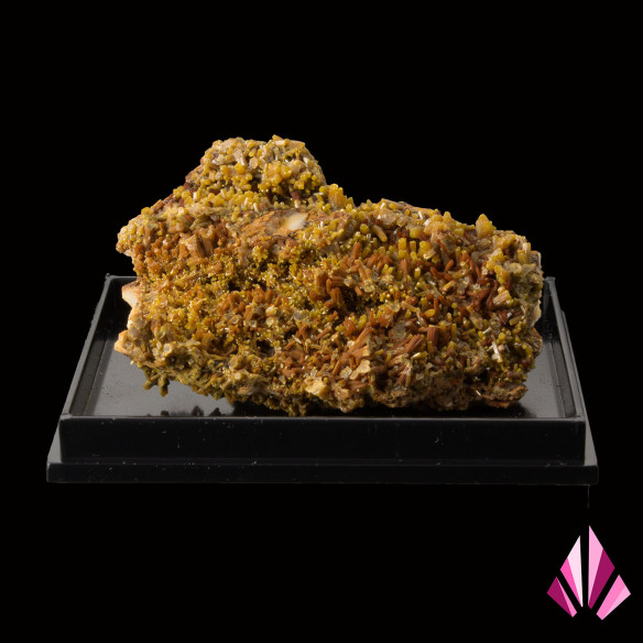 Pyromorphite (LLP041) -Les Farges France