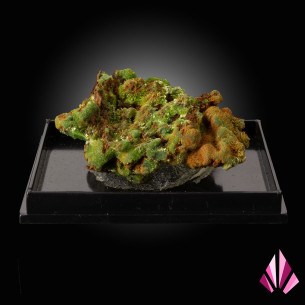 Pyromorphite - Saint Salvy - Tarn- France.
