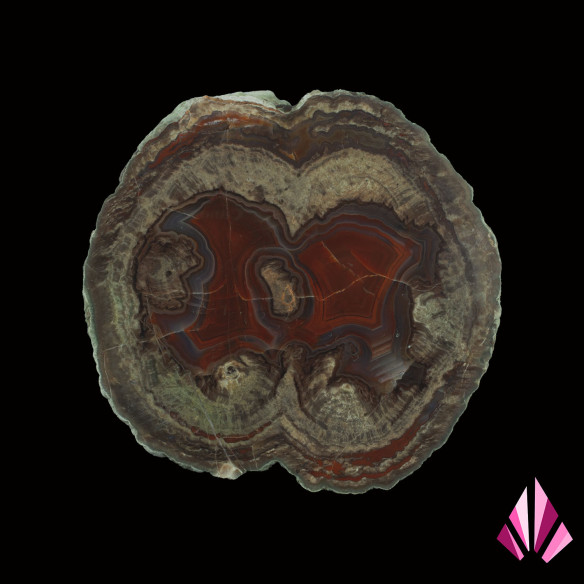 Lithophyse - Esterel Massif | Ref. 230