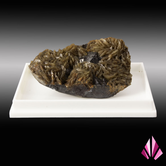 Baryte and blende (LLP044) on base.