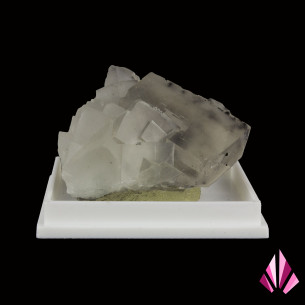 Fluorite Fontsante France (LLP048)