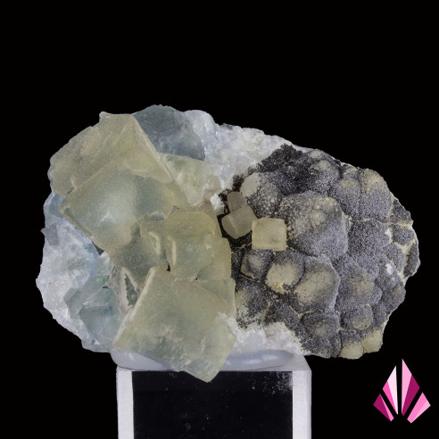 Fluorite (Ref248) with quartz encrustation from France