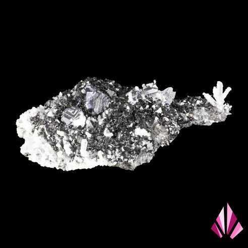 minerals: Blende-quartz-galena association from Bulgaria.