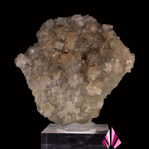 Fluorite Fontsante Var (Réf275)