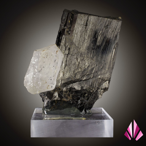 Wolframite et quartz Panasqueira (Réf282)