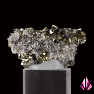 Pyrite sur quartz mine de Zlatograd Bulgarie (291) 2