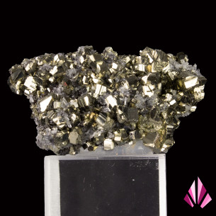 Pyrite sur quartz mine de Zlatograd Bulgarie (291)