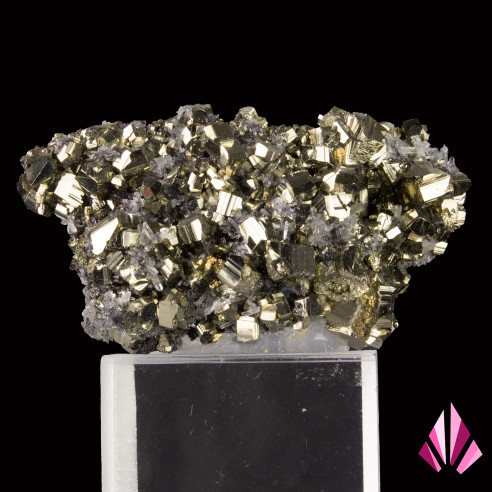 Pyrite sur quartz mine de Zlatograd Bulgarie (291)