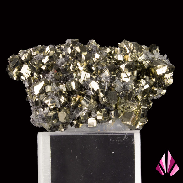 Pyrite sur quartz mine de Zlatograd Bulgarie (291)