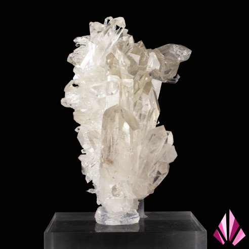 Buisson de quartz La Gardette