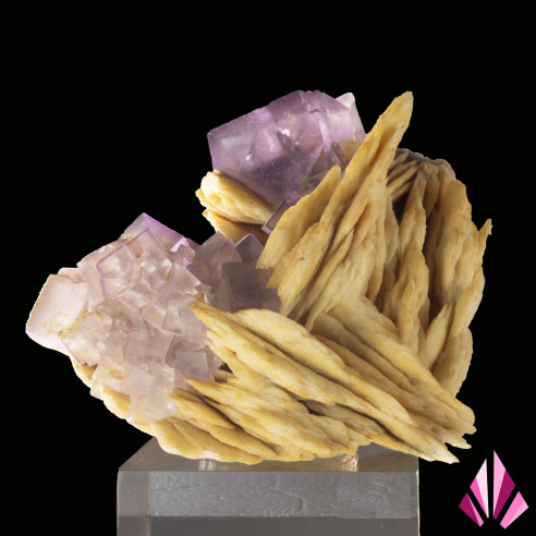 Fluorites and Barytes from Berbes Spain