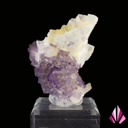 Fluorites and barytes from Mexico (old collection).