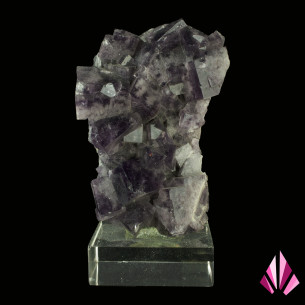 Fluorine Frazer's Hush Ref420