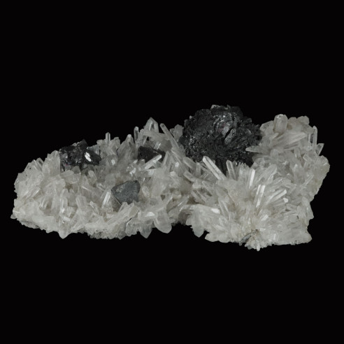 blende noire sur quartz (Bulgarie)