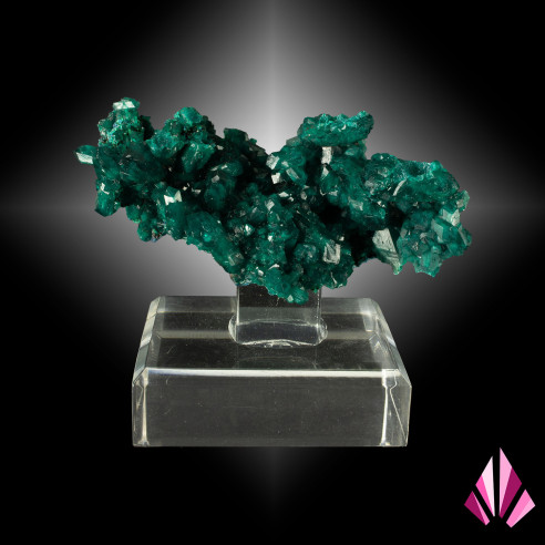 Dioptase RD du Congo Référence: 425