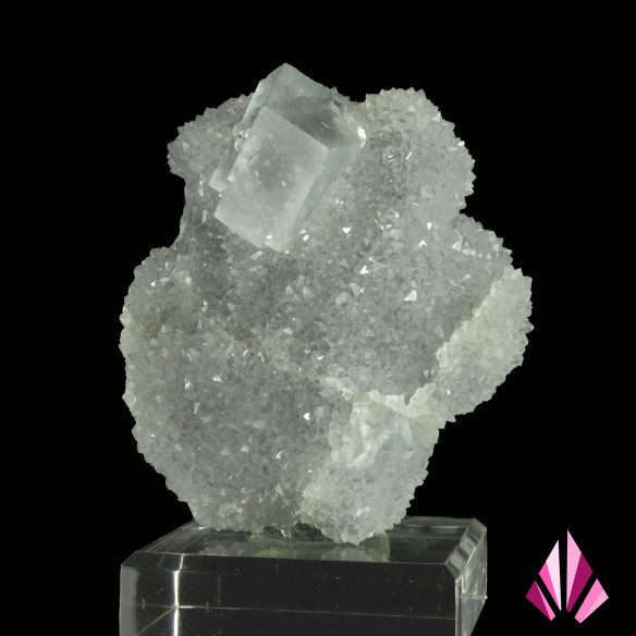 Fluorite on quartz Burc (#457) for sale on Le Monde Minéral
