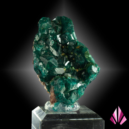 Dioptase RD Congo Ref458