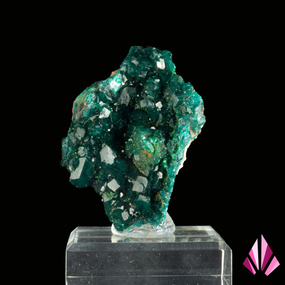 Dioptase from RD CONGO (#459).