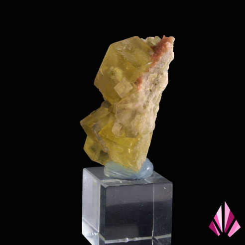 Fluorine quartz hématoïde El Hammam Maroc Ref472.