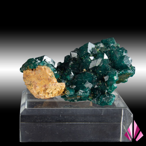 Dioptase DR Congo Ref473