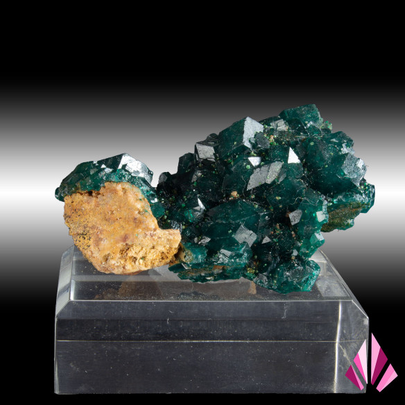 Dioptase récoltée en RD Congo (#473).