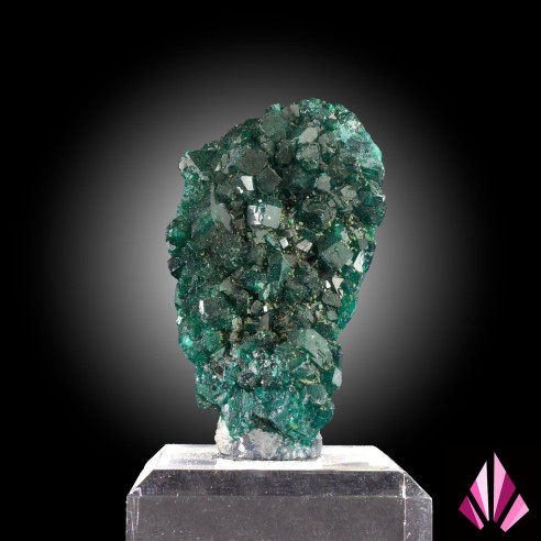 Beau spécimen de dioptase RD Congo Ref475