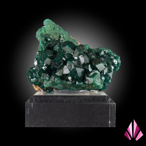 Dioptase du Congo sur son socle en acrylique - Ref: 478