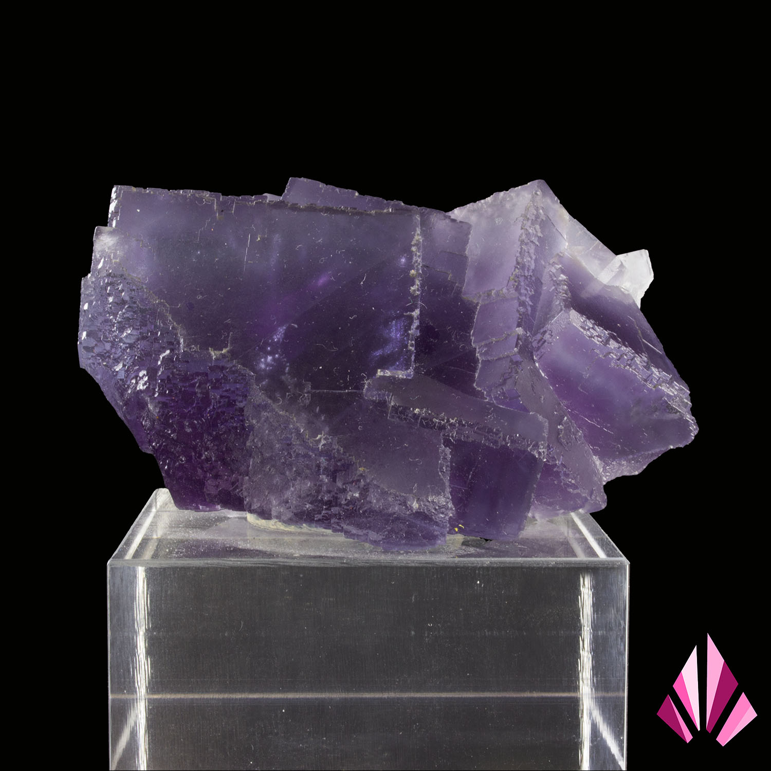 Fluorine - Berbes, Espagne (#390)